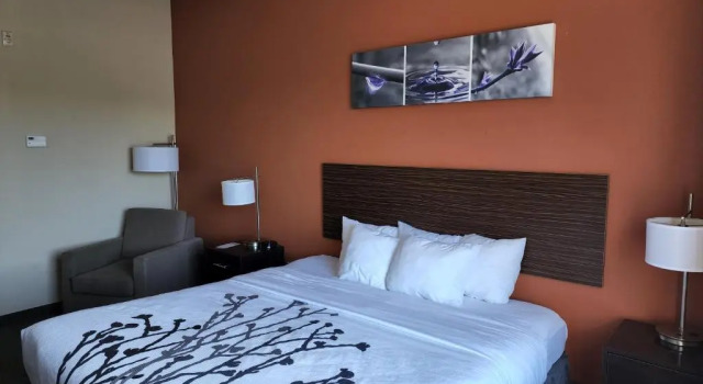 Номер Standard Sleep Inn & Suites Dyersburg I-155