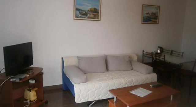Апартаменты c 1 комнатой Mijovic Apartments