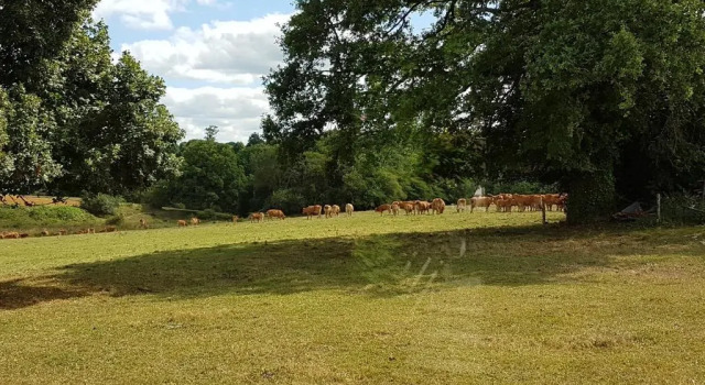 La Thibaudiere Tilleul, Réserver Hôtel Chalus Haute-Vienne