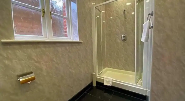 Двухместный номер Standard Baylis Park Hotel
