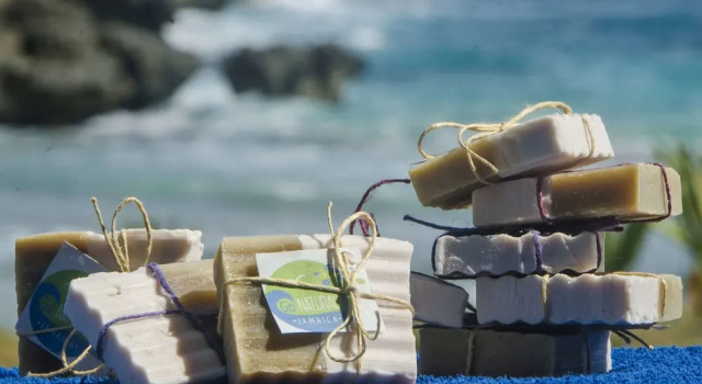Кровать в общем номере с видом на океан Go Natural Jamaica Retreats