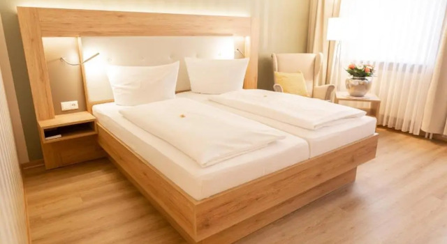 Двухместный номер Standard Altstadt-Hotel