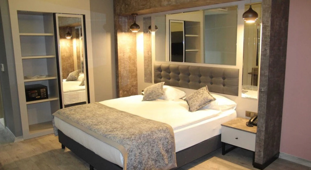 Полулюкс Ereza Otel