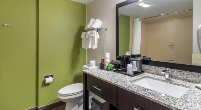Одноместный люкс Sleep Inn & Suites Allendale