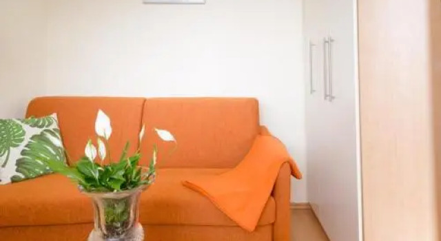 F23 App 25 Kurt S Island