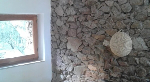 La Petrichina
