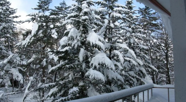 Двухместный номер Standard White Horse Hotel