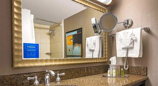 Номер с балконом DoubleTree by Hilton Dallas Market Center