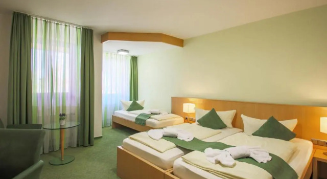 Трёхместный номер Standard Panorama Hotel Winterberg