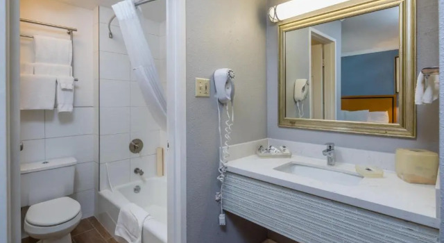 Четырёхместный номер Standard SOMA Park Inn