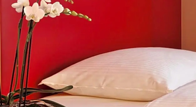 Номер Classic Mövenpick Hotel Egerkingen