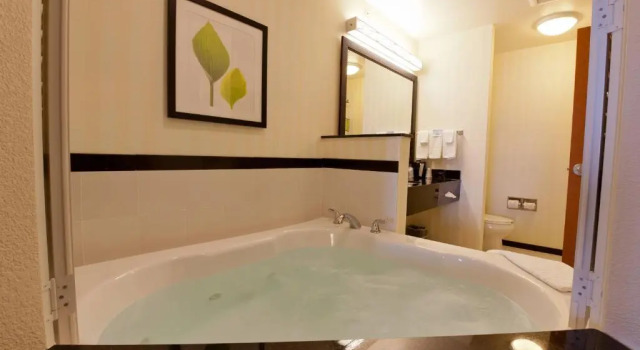 Номер Standard Fairfield Inn and Suites Flint Fenton