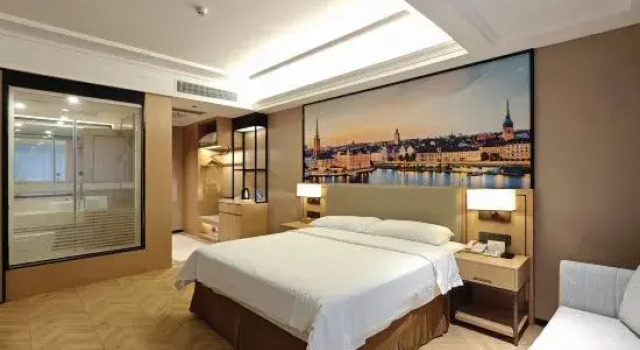 Люкс Business Vienna Hotel Foshan Goaxin District