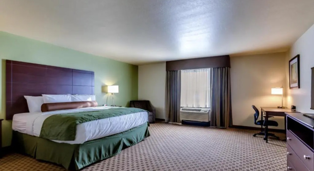 Студия Cobblestone Inn & Suites - Waverly