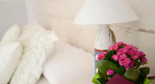 Номер Standard Residencial Terra de Mar Calpe, Grupo Terra de Mar, alojamientos con encanto