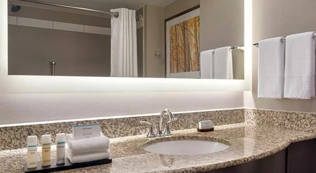 Двухместный люкс с 2 комнатами Embassy Suites by Hilton Atlanta Alpharetta