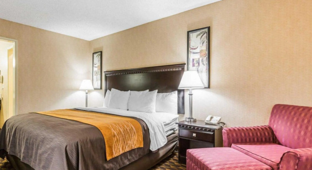 Номер Standard 818 Hotel + Pool, an Ascend Hotel Collection Member