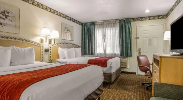 Четырёхместный номер Standard Comfort Inn Palo Alto