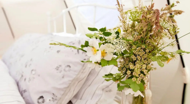 Stunning 1-bed Star Gazing Bell Tent Loughborough, Boek Camping Campings & glamping in Merseyside, Camping