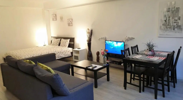 Студия Superior Apartment Chez Esmara et Philippe