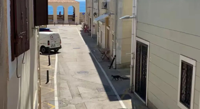 Apartment old Town-novigrad 20 m From the sea, Prenota Appartamento Novigrad 