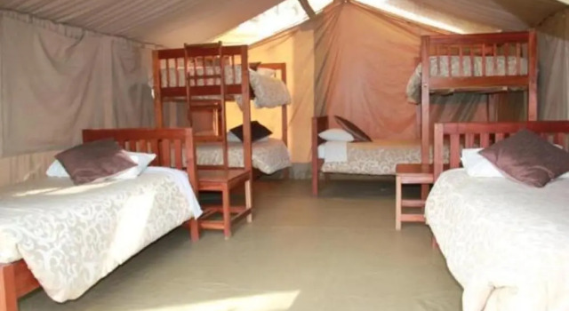 Кровать в общем номере Wildebeest Eco Camp