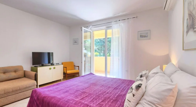 Двухместная студия Standard Franulovic Apartments