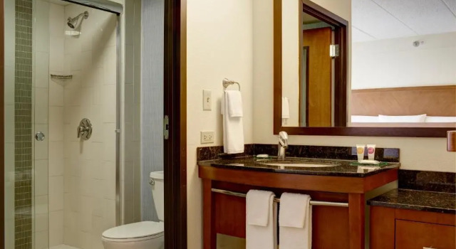 Номер Standard Hyatt Place Phoenix-North