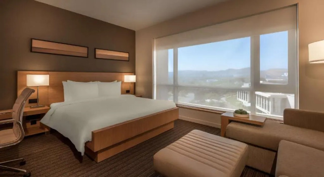 Двухместный номер Hyatt Place с диван-кроватью Hyatt Place Pune Hinjawadi