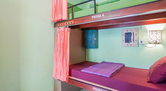 Кровать в общем номере (женский номер) Padi-Padi Hostel & Bar