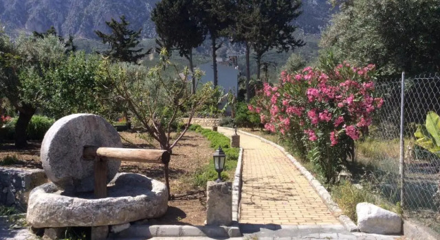 Коттедж Olive Garden Holiday Homes