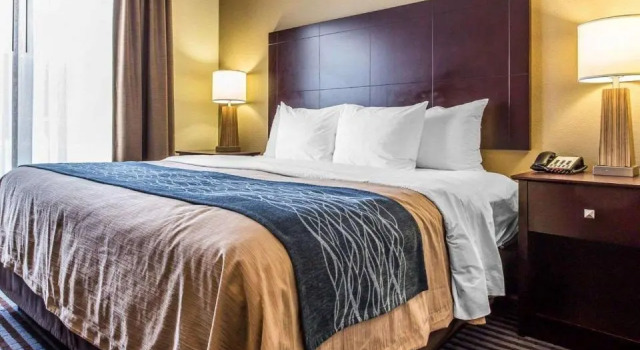 Двухместный люкс c 1 комнатой Comfort Inn & Suites Ballpark Area