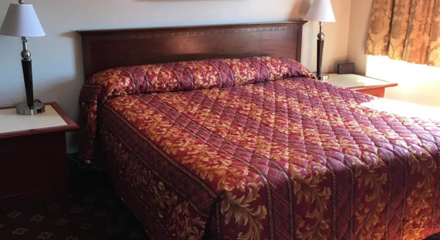 Номер Standard Metro Plaza Hotel