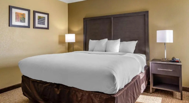 Люкс Comfort Inn Opelika - Auburn