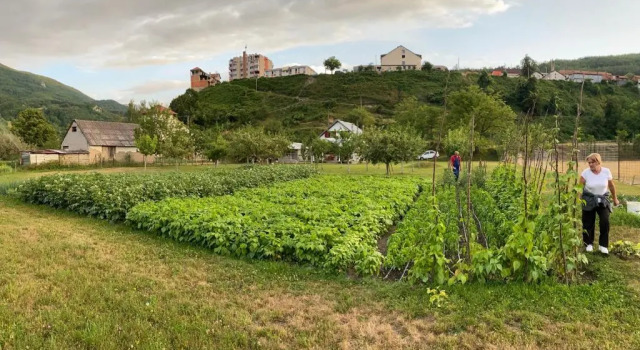 Коттедж Household Nikolic - Andrijevica, Montenegro