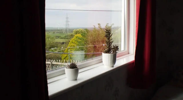 Двухместный номер Standard с видом на внутренний двор Sportsmans Lodge Bed and Breakfast