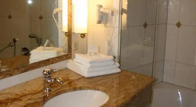 Suite Hotel Wilder Mann