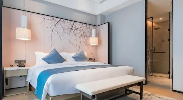 Люкс Executive Zhongzhou International Hotel (Hebidong Railway Station Hotel)