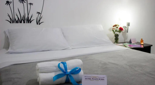 Двухместный номер Standard Hotel Plaza Roma