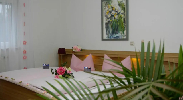 Двухместный номер Standard Hotel Karlshof