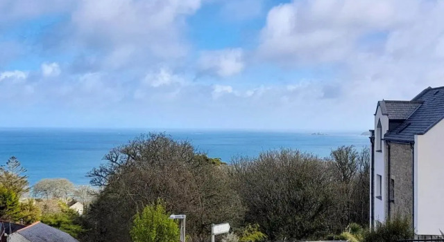 Deluxe huone Thurlestone Guest House