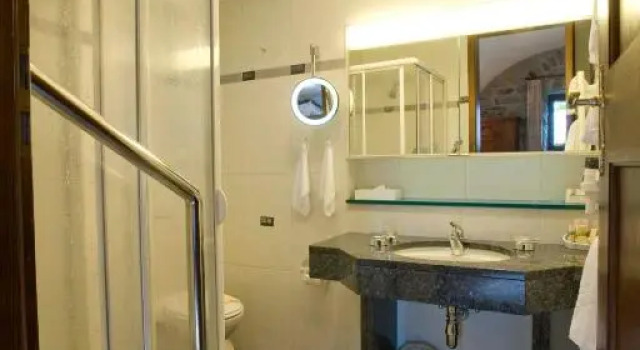 Одноместный номер Superior Romantik Hotel Castello Seeschloss