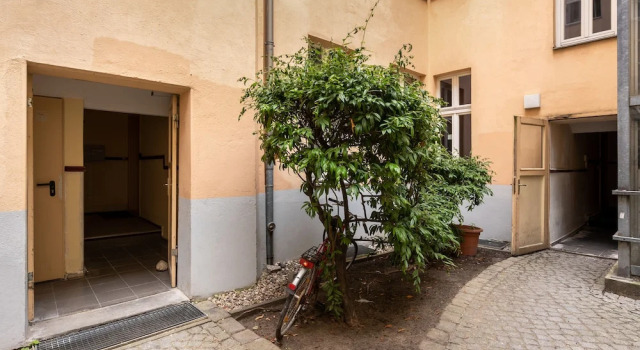 Numa Berlin Kater