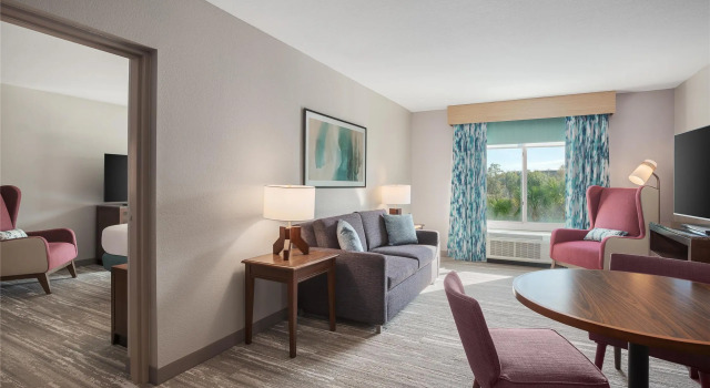 Двухместный люкс c 1 комнатой Hilton Garden Inn Tampa North