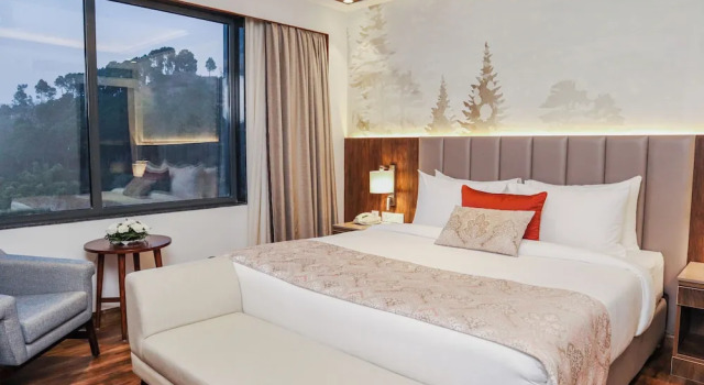 Двухместный люкс Executive с балконом и с красивым видом из окна Best Western Matra Kasauli