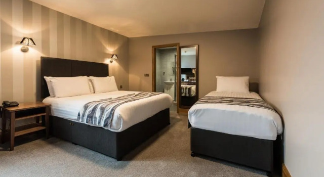 Трёхместный номер Standard Springfield Hotel