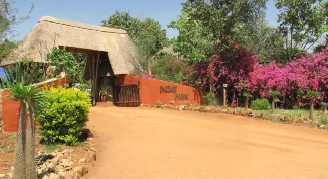 Ingwe Historical Accommodation