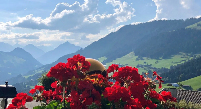 Appartamento Bergwald Appartements Alpbach