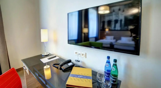 Одноместный номер Classic Hotel Loft 1898