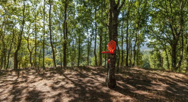 Forest House casinha do Carvalhal, Забронировать Отель Вила-Нова-ди-Сервейра Минхо